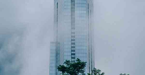 鲅鱼圈大数据运营