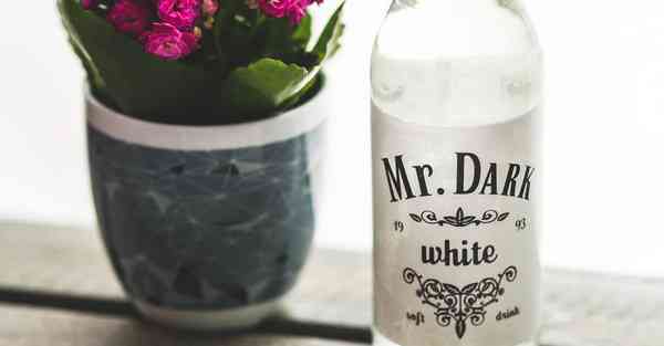 唯佳雷神智能机器人：革新智能机器人行业的领导者