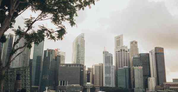 智能机器人管家创新点