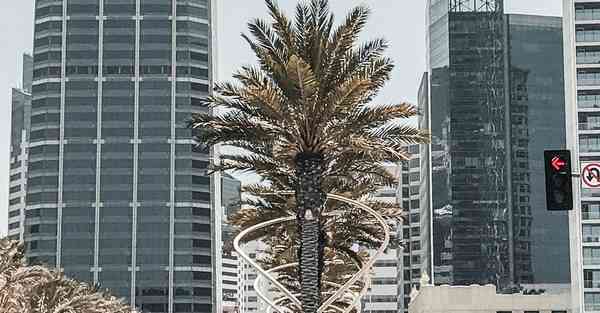 小驴机器人智能编程