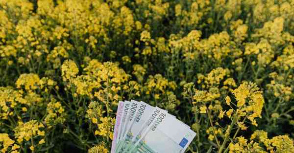 冰激凌智能机器人，KEYSENBOT冰激凌机器人