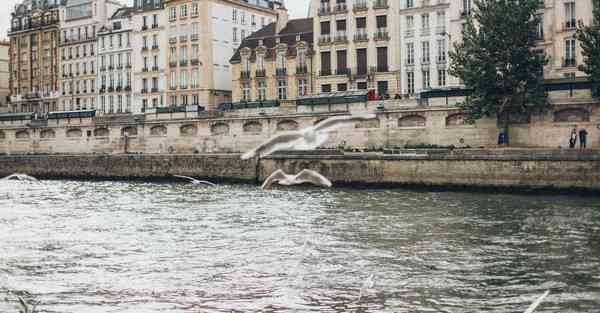 智能装备与机器人技术研究生 智能装备与机器人技术研究生就业前景