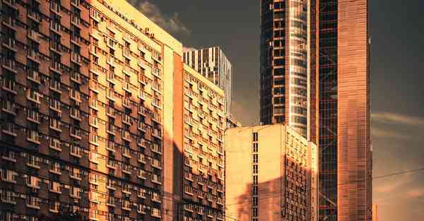 大数据软件研发及服务业的行业文章