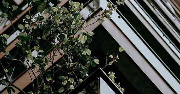 AI绘画沙漠老太太（沙漠老人）