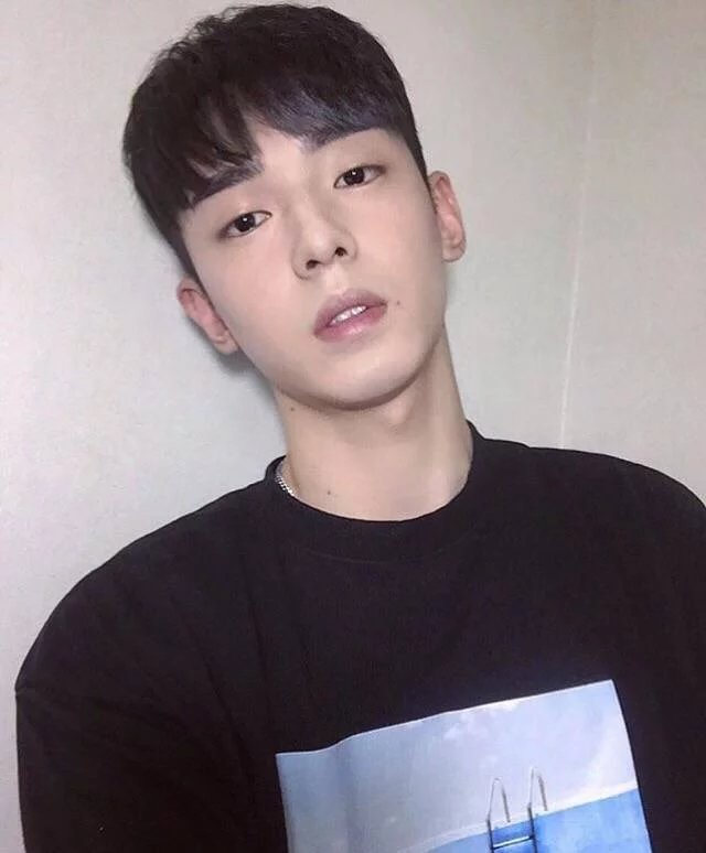 解泽顺宇
